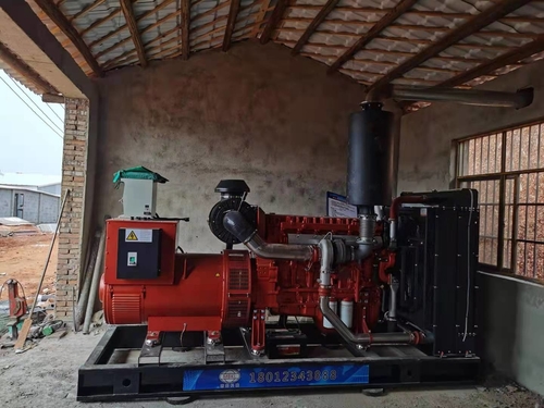 नवीनतम कंपनी ब्लॉग के बारे में मुर्गी पालन कारखाने में 400KW डीजल जनरेटर सेट स्थापित किया गया है